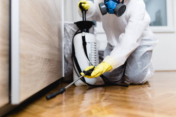 Best Commercial Pest Control Services  in Temple, PA