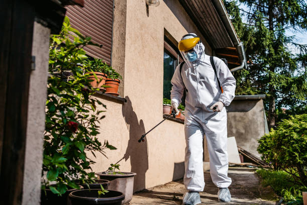 Pest Prevention Services in Temple, PA