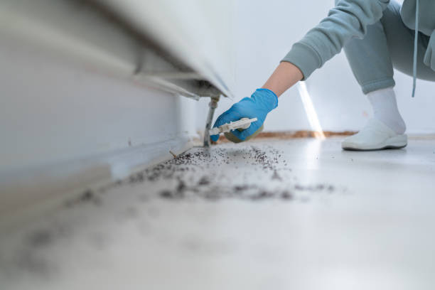 Pest Control Cost in Temple, PA